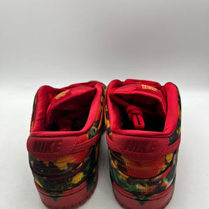 Nike Dunk SB Low X  The Wizard of Oz Poppy Field FZ1291-600 Size Mens Uk 10 - Complete FRENLY BRICKS - Open 7 Days