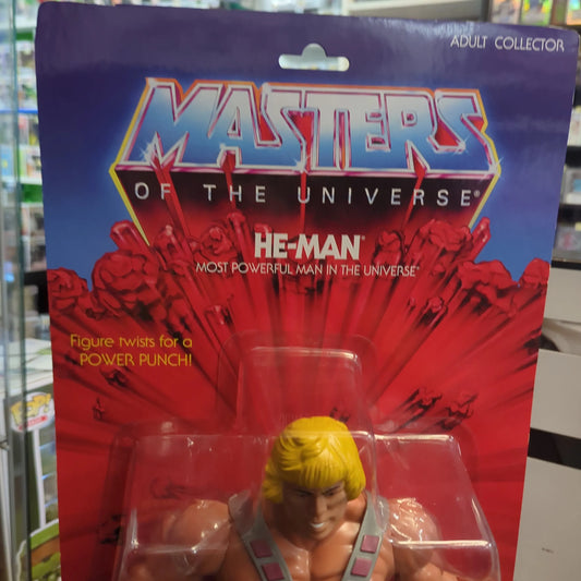 Masters Of The Universe Giant HE-MAN 12" Figure MOTU 2014 Mattel Sealed New FRENLY BRICKS - Open 7 Days