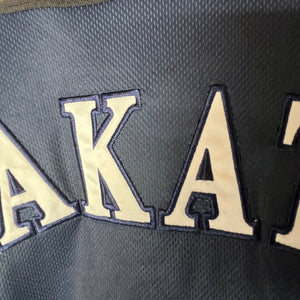 Nippon Baseball Hokkaido Fighters “Nakata #6” Flower Blue Jersey XLarge