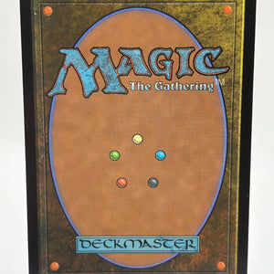 Magic The Gathering - Stormcarved Coast Rare Land #265/277 VOW LP FRENLY BRICKS - Open 7 Days