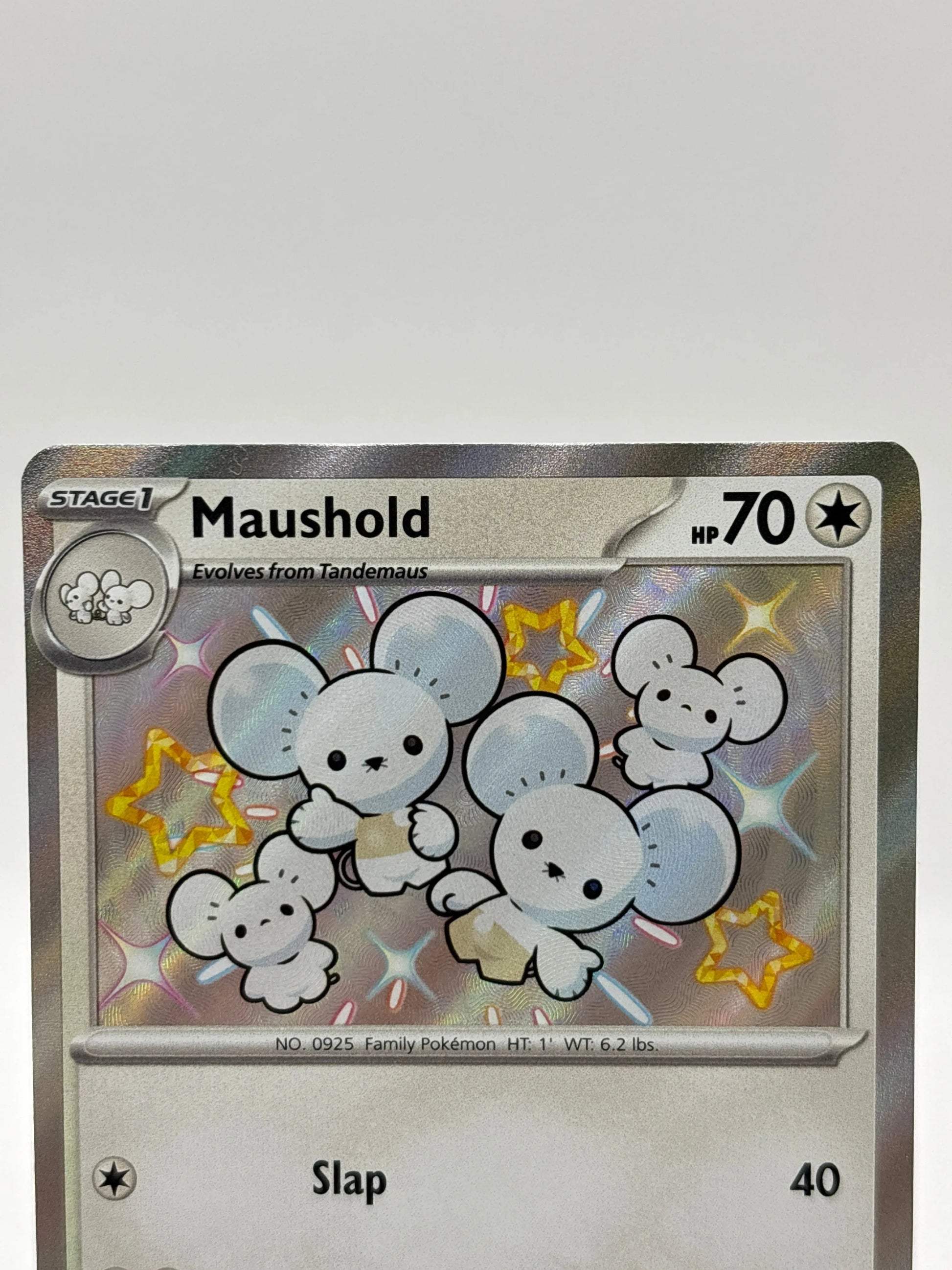 Pokemon TCG Paldean Fates - Maushold 210/091 Shiny Secret Rare Nm FRENLY BRICKS - Open 7 Days