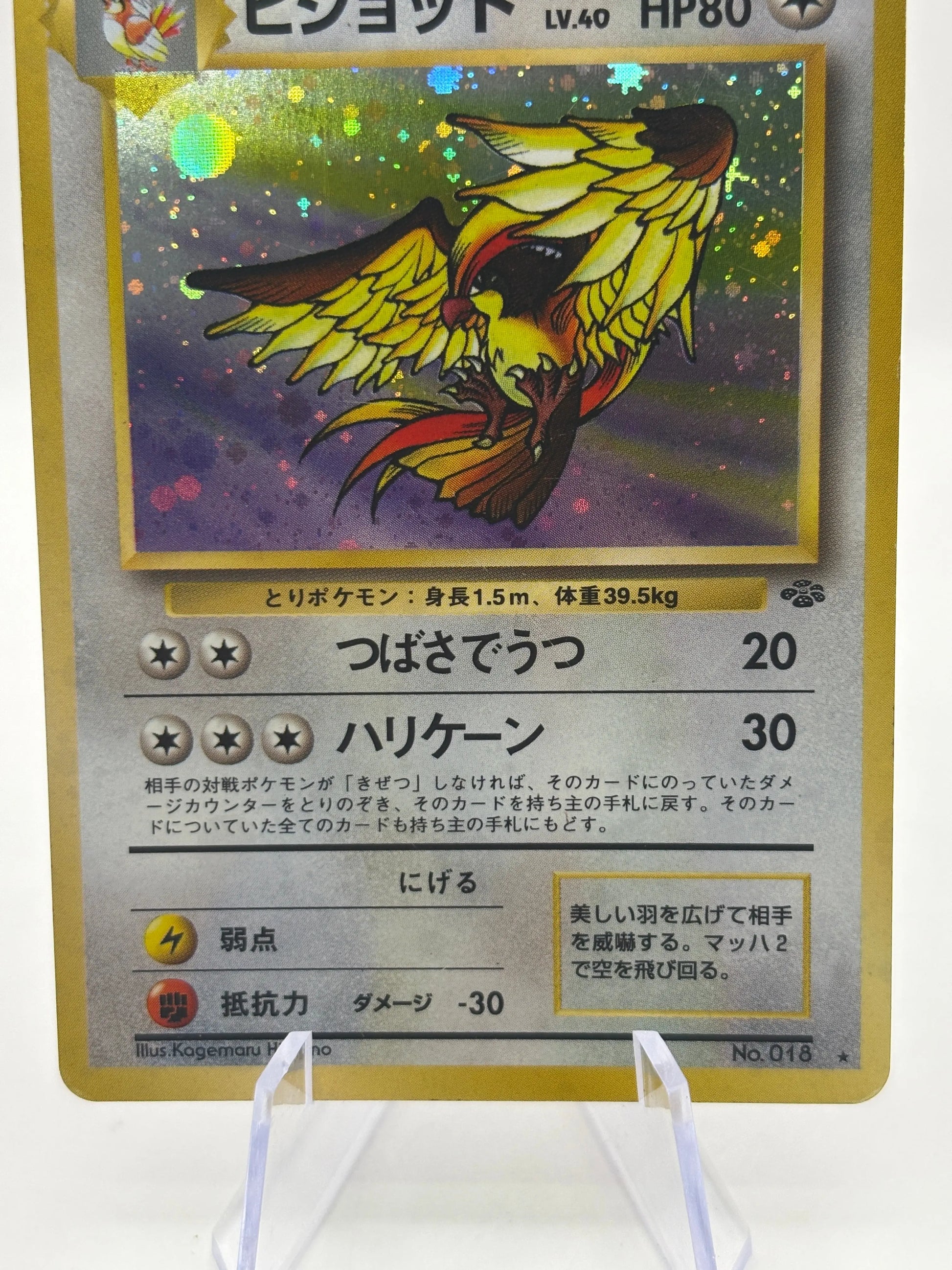 Pokemon TCG Jungle - Pidgeot #016 Holo Rare Heavily Played FRENLY BRICKS - Open 7 Days