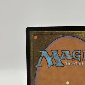 Magic The Gathering - Dawns Truce #0295 Rare BLB Bloomburrow LP FRENLY BRICKS - Open 7 Days
