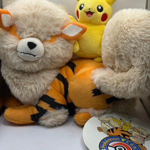 Pokemon Center Okinawa 1st Anniversary Limited Pikachu Arcanine Plush Japan New FRENLY BRICKS - Open 7 Days
