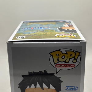 Funko POP! Animation One Piece #1877 Monkey D Luffy Special Edition FRENLY BRICKS - Open 7 Days