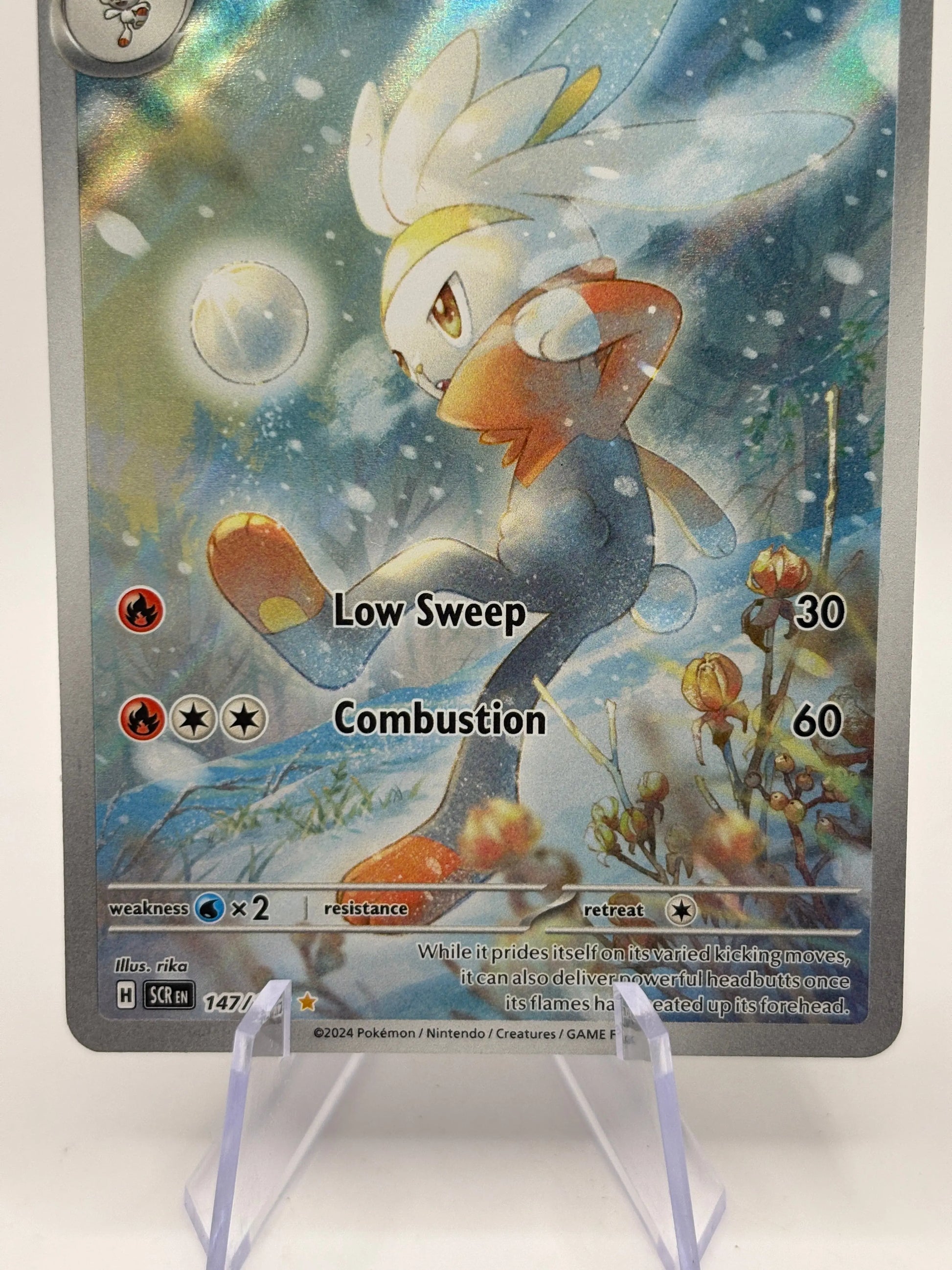 Pokemon TCG Stellar Crown - Raboot 147/142 Art Rare LP FRENLY BRICKS - Open 7 Days