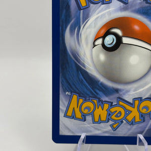 Pokemon TCG Stellar Crown - Squirtle 148/142 Art Rare NM FRENLY BRICKS - Open 7 Days