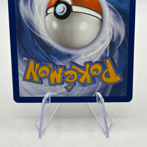Pokémon TCG Shrouded Fable - Zorua 075/064 Illustration Rare NM image 4