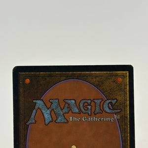 Magic The Gathering Vintage 1995 - Adarkar Wastes Land MP Rare FRENLY BRICKS - Open 7 Days