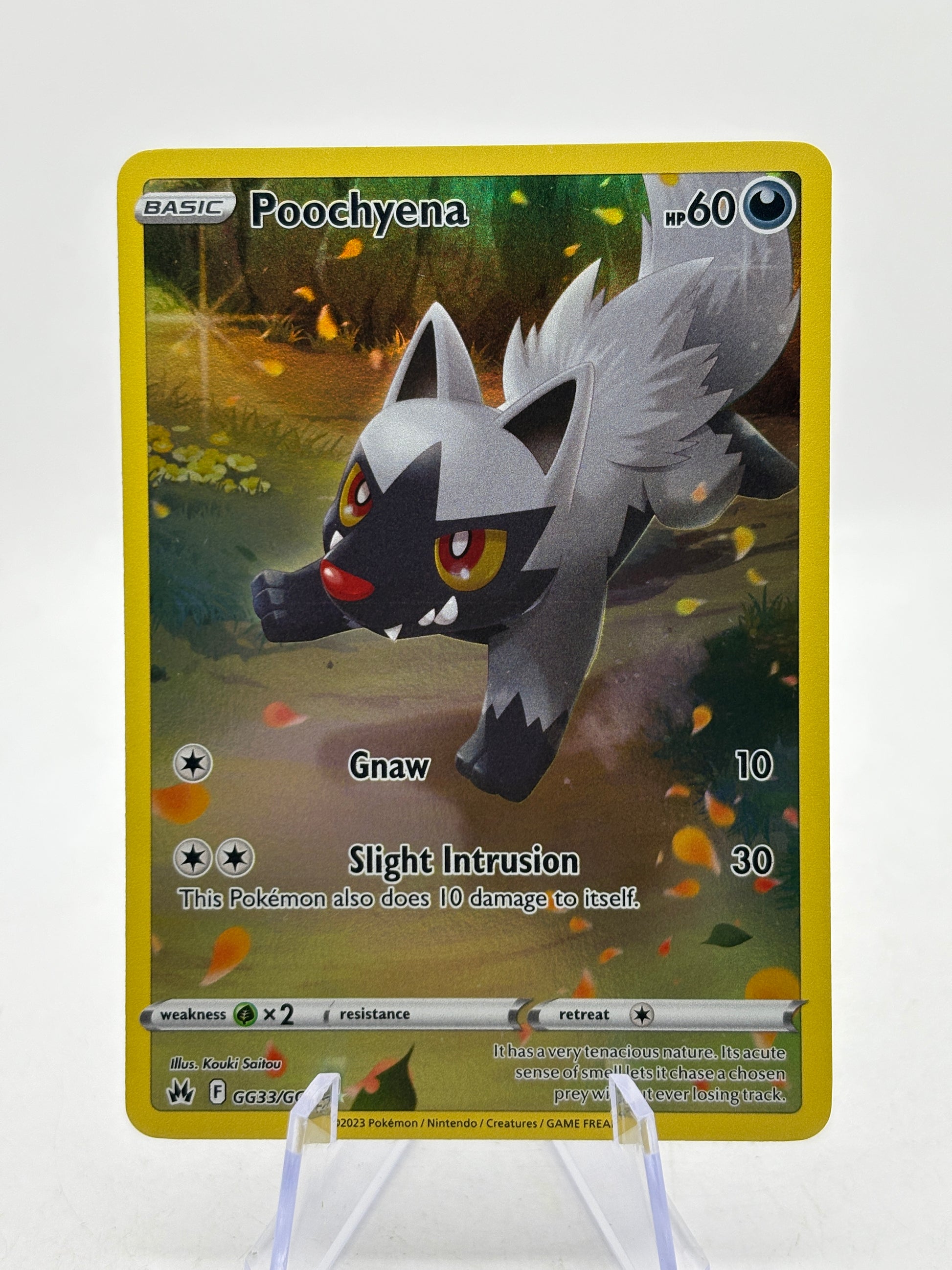 Pokemon TCG Crown Zenith - Poochyene GG33/GG70 Full Art NM image 1