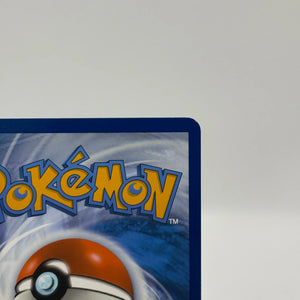 Pokemon TCG 151 MEW - Wartortle 171/165 Illustration Rare NM FRENLY BRICKS - Open 7 Days