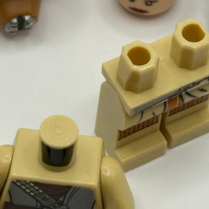 LEGO Star Wars Minifigure Princess Leia (Boushh Disguise) sw0407 - 9516 FRENLY BRICKS - Open 7 Days