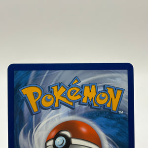 Pokemon TCG Black Star Promo - Charizard V SWSH050 Full Art LP FRENLY BRICKS - Open 7 Days