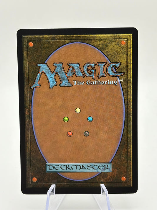 Magic The Gathering Avatar - The Cabbage Merchant R 0203 TLE FRENLY BRICKS - Open 7 Days
