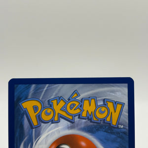 Pokemon TCG Stellar Crown - Dachsbun EX 169/142 Special Illustration Rare NM FRENLY BRICKS - Open 7 Days