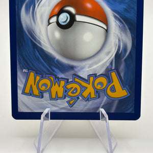 Pokemon TCG Stellar Crown - Dachsbun EX 169/142 Special Illustration Rare NM FRENLY BRICKS - Open 7 Days