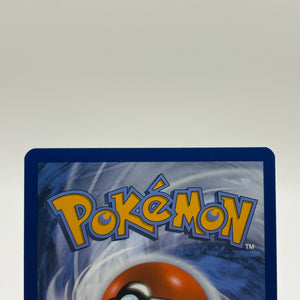 Pokemon TCG SVP Promo - Charizard EX SVP161 Black Star Promo Nm FRENLY BRICKS - Open 7 Days