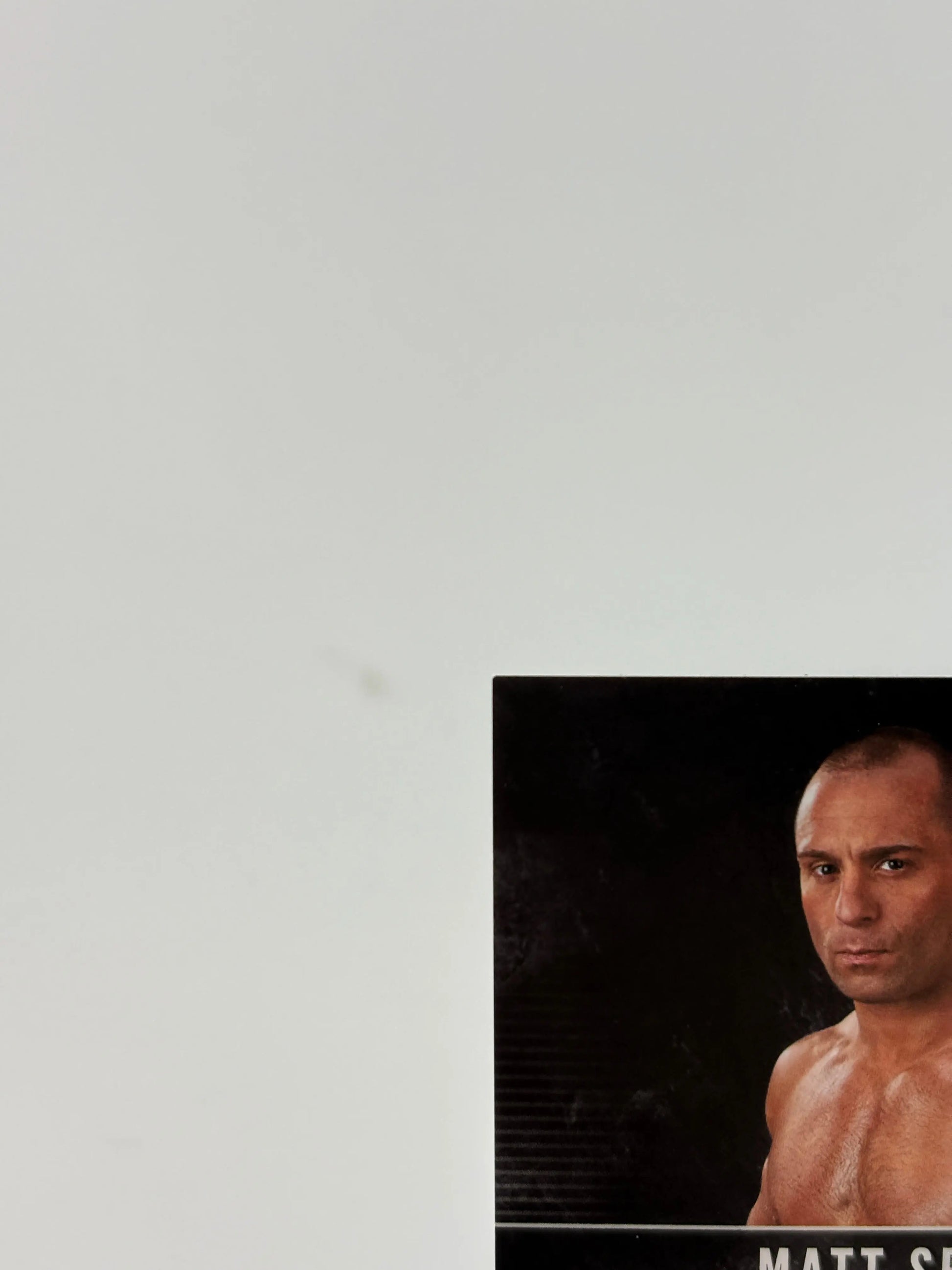 2018 UFC Hall of Fame Autographs Matt Serra Auto FRENLY BRICKS - Open 7 Days