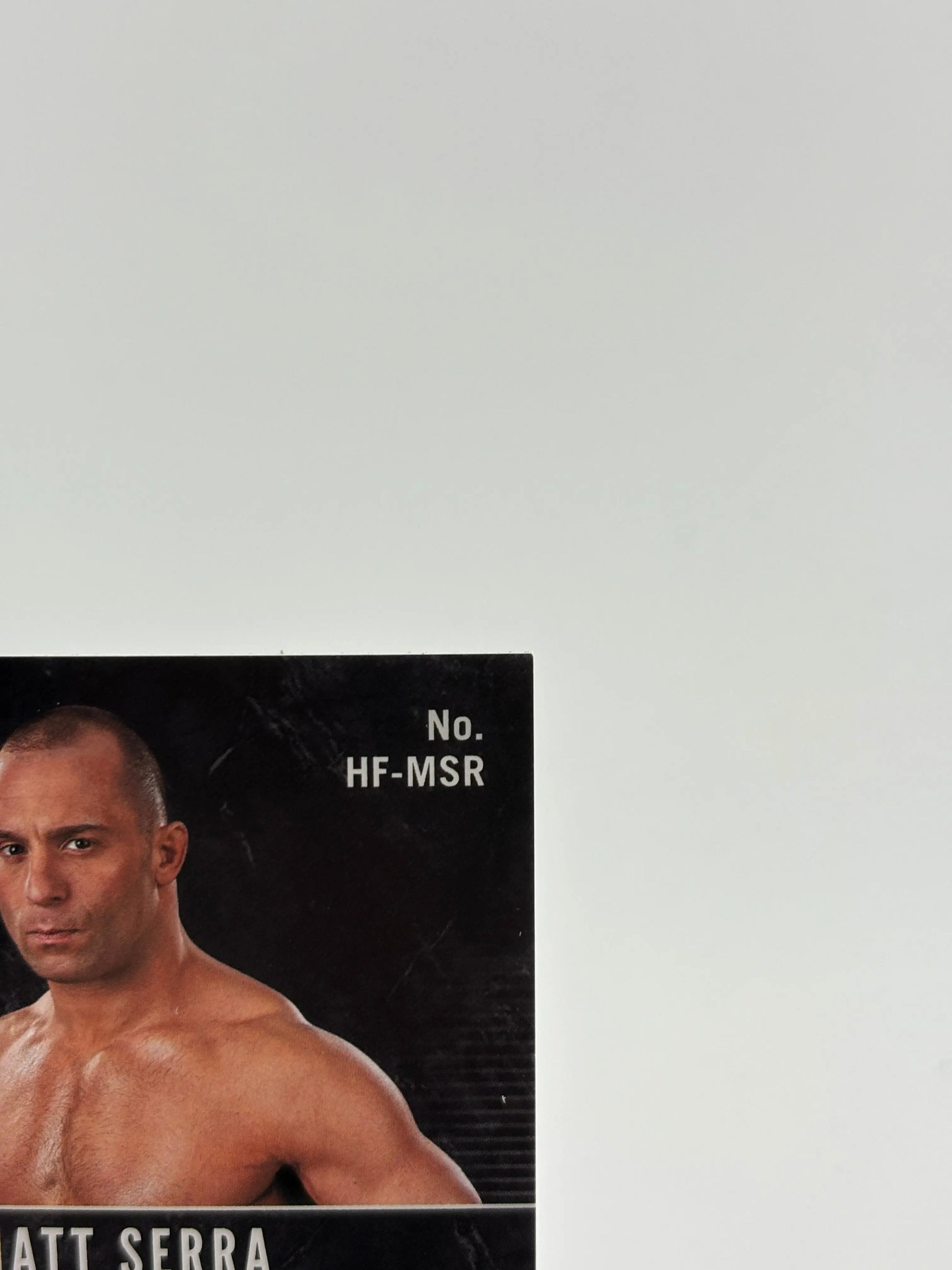 2018 UFC Hall of Fame Autographs Matt Serra Auto FRENLY BRICKS - Open 7 Days