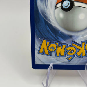 Pokemon TCG SWSH Promos - Lance’s Charizard V SWSH133 Black Star Promo NM FRENLY BRICKS - Open 7 Days