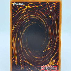 Yugioh Skull Flame WB01-EN002 Ultra Rare Promo LP FRENLY BRICKS - Open 7 Days