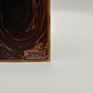 Yugioh - Droll and Lock Bird - Gold Rare - MAGO-EN006 - LP FRENLY BRICKS - Open 7 Days