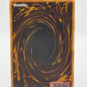 Yugioh Insect Queen CT1-EN005 Secret Rare Limited Edition LP FRENLY BRICKS - Open 7 Days