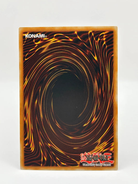 Beyond the Pendulum Yu-Gi-Oh! DIFO-EN048 1st Secret Rare LP (1) FRENLY BRICKS - Open 7 Days