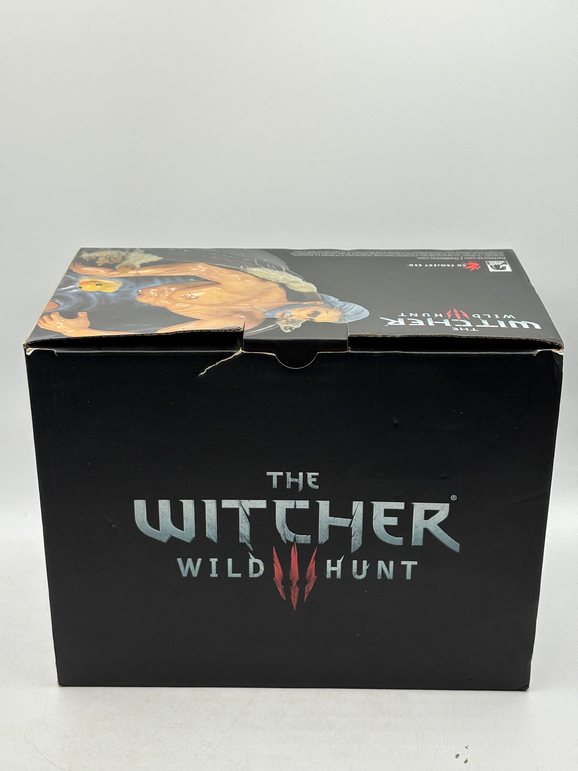 The Witcher 3: Wild Hunt GERALT IN THE BATH Statuette by Dark Horse Comics OPEN FRENLY BRICKS - Open 7 Days