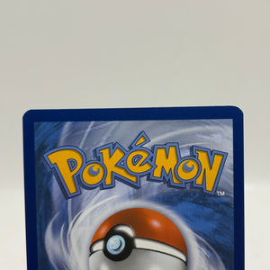 Pokemon TCG Mega Promos - N’s Zekrom MEP031 Black Star Illustration NM FRENLY BRICKS - Open 7 Days