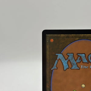 Magic The Gathering - Breeding Pool Land Foil R #0275 RVR LP FRENLY BRICKS - Open 7 Days