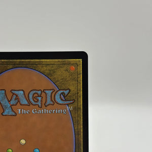Magic The Gathering - Breeding Pool Land Foil R #0275 RVR LP FRENLY BRICKS - Open 7 Days