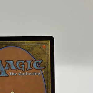 Magic The Gathering - Fountainport Land Foil R #0253 BLB Near Mint FRENLY BRICKS - Open 7 Days