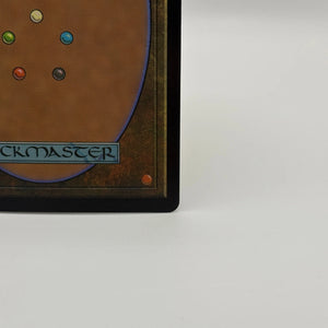 Magic The Gathering - Fountainport Land Foil R #0253 BLB Near Mint FRENLY BRICKS - Open 7 Days