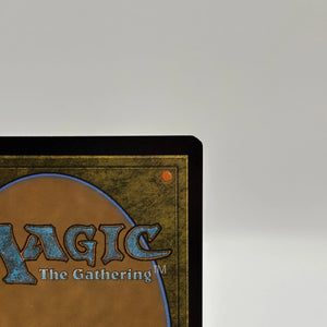Magic The Gathering - Witch-king of Angmar Foil Borderless M #0423 LTR Nm FRENLY BRICKS - Open 7 Days