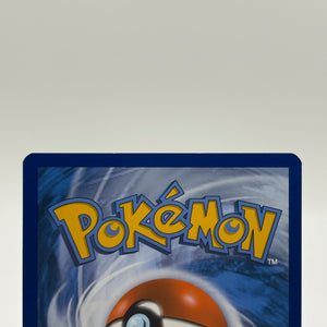 Pokémon TCG Steam Seige Mega Gardevoir EX 79/114 Holo Nm FRENLY BRICKS - Open 7 Days