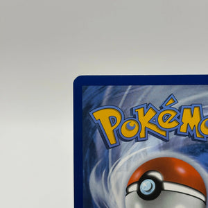 Pokemon TCG Black Bolt - Palpitoad 104/086 Illustration Rare LP FRENLY BRICKS - Open 7 Days