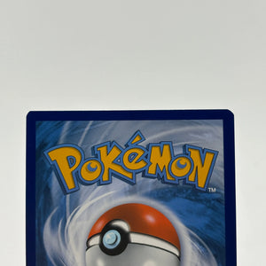 Pokemon TCG Sword Shield Promos - Pikachu SWSH234 Black Star Promo LP (2) FRENLY BRICKS - Open 7 Days