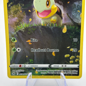 Pokemon TCG Crown Zenith - Turtwig GG31/GG70 Full Art NM FRENLY BRICKS - Open 7 Days