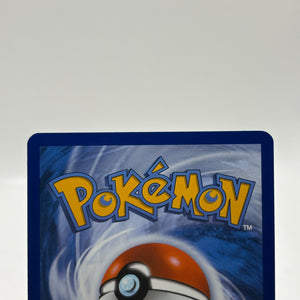 Pokemon TCG Mega Promos - Riolu MEP010 Illustration Rare Promo NM FRENLY BRICKS - Open 7 Days