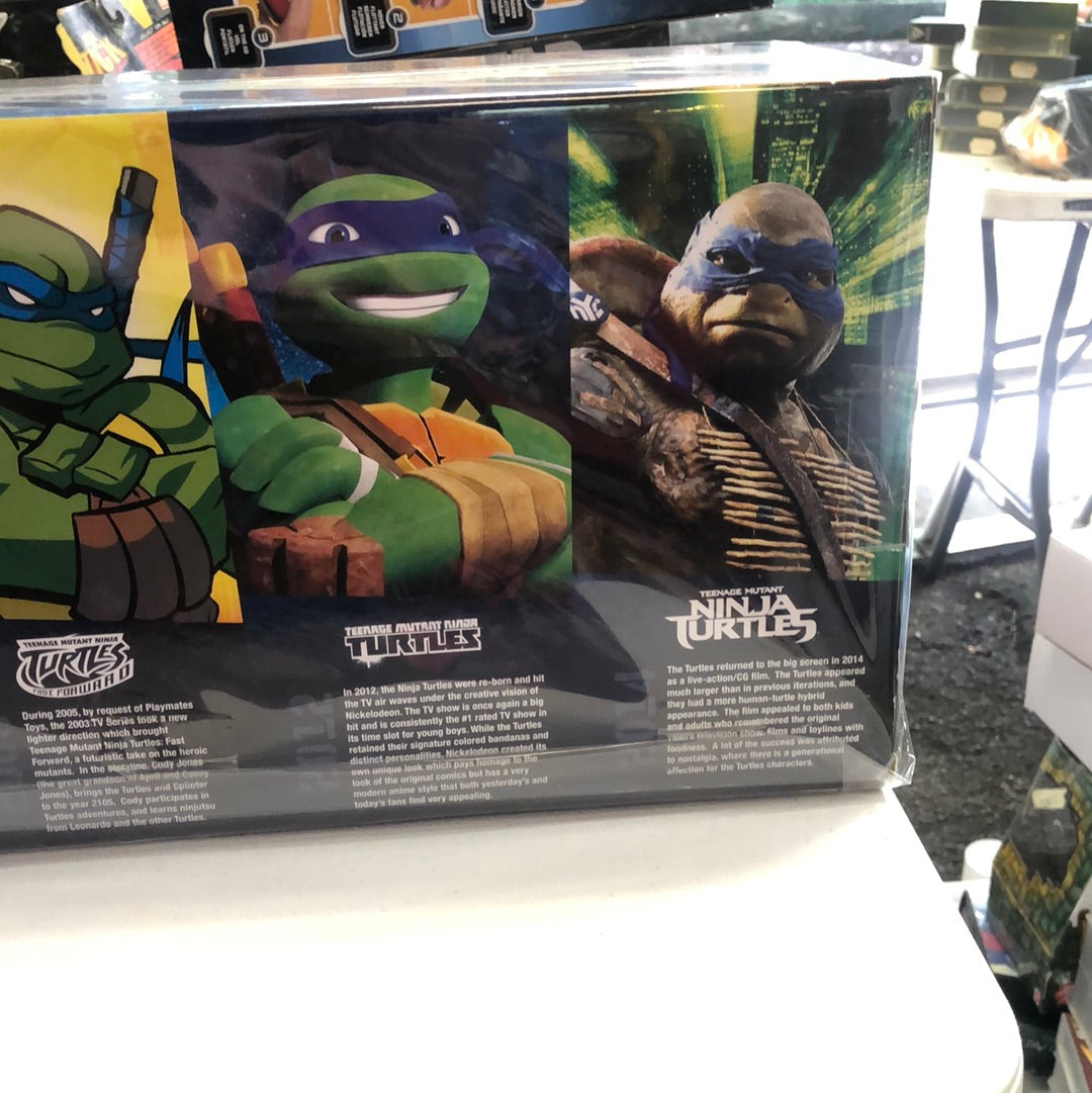 History of TMNT Featuring Leonardo (2015) Playmates Teenage Mutant Ninja Turtles FRENLY BRICKS - Open 7 Days