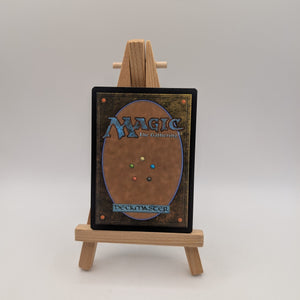MTG Overlord of the Hauntwoods Extended Art #0383 Duskmourn DSK NM FRENLY BRICKS - Open 7 Days