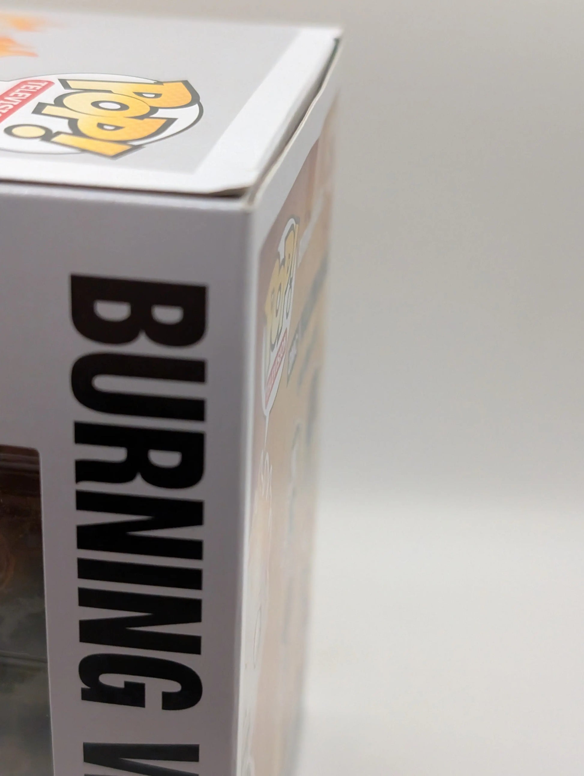 Funko Pop The Walking Dead - Burning Walker #354 Signed COA Greg Nicotero FRENLY BRICKS - Open 7 Days