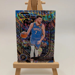2024-25 Panini Select Chet Holmgren #222 Elephant Prizm Case Hit SSP FRENLY BRICKS - Open 7 Days