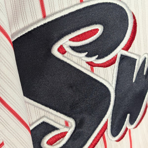 Nippon Baseball Tokyo Yakult Swallows 2016-2019 Home White/Red Blank XL Jersey