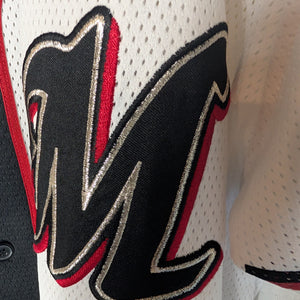 Nippon Baseball Chiba Lottes Marines 