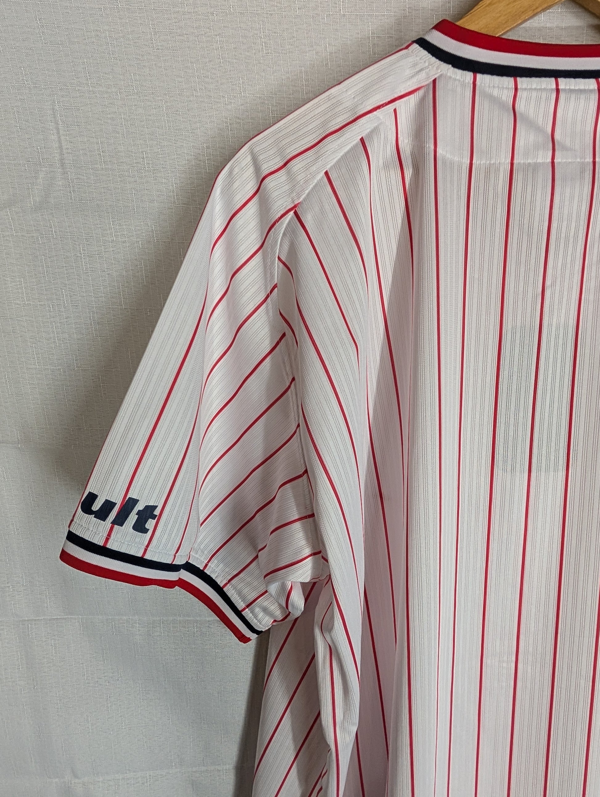 Nippon Baseball Tokyo Yakult Swallows 2016-2019 Home White/Red Blank XL Jersey