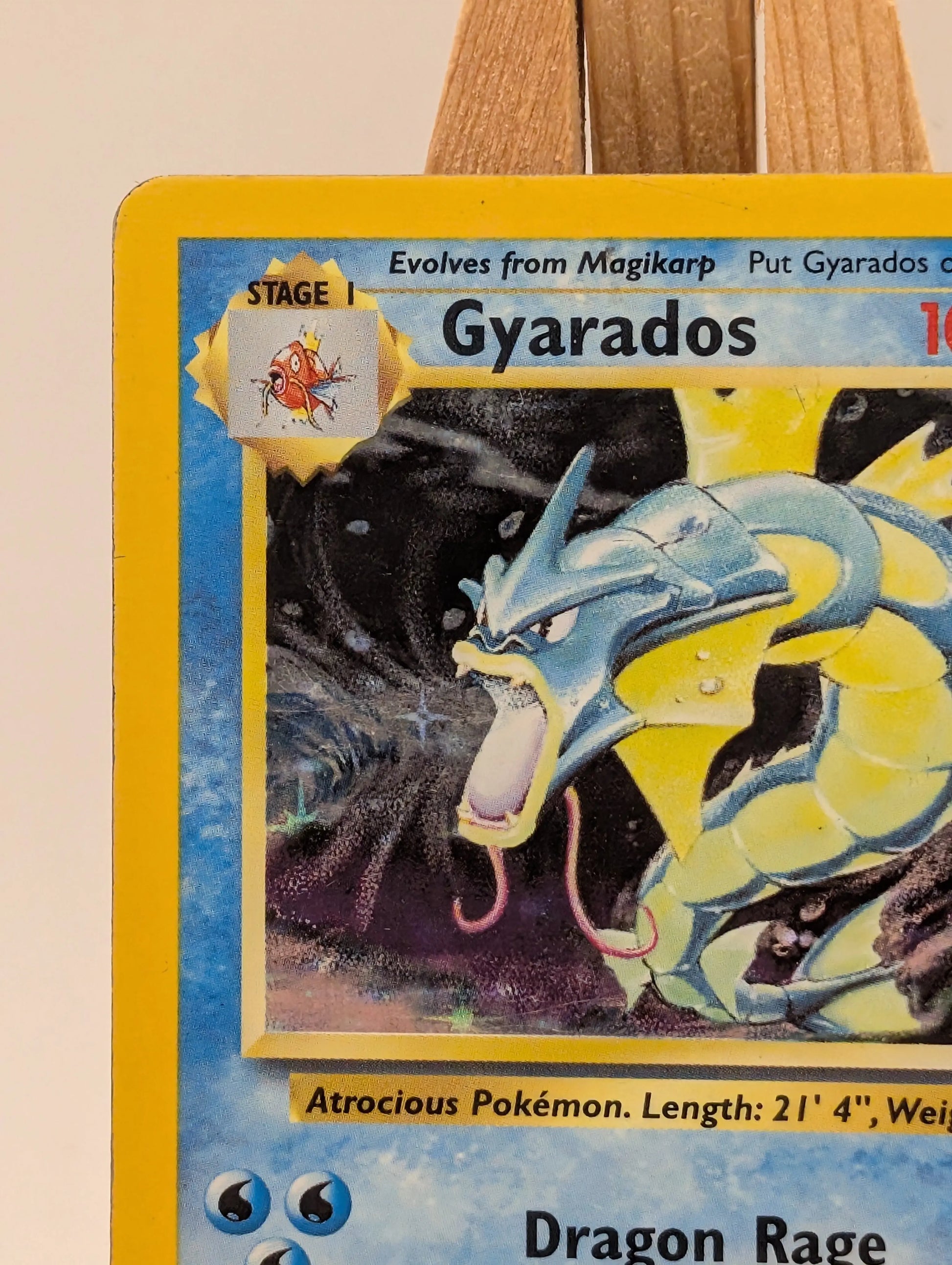 Gyarados 6/102 | Holo | WOTC | Base Set | MP/HP | Pokemon TCG FRENLY BRICKS - Open 7 Days