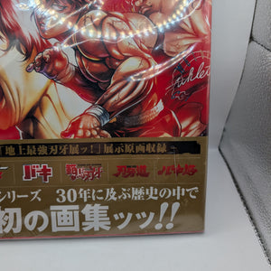 BAKI 30th Anniversary Art Book THE ARTWORK OF BAKI Large Format from Japan FRENLY BRICKS - Open 7 Days
