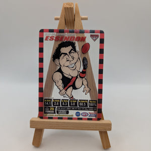 2007 AFL Teamcoach Trading Card Star Wild SW5 Scott Lucas (Essendon). FRENLY BRICKS - Open 7 Days